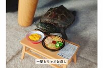 【昭和過ぎる亀】星一徹ばり！？亀さんのちゃぶ台返しに思わず爆笑「最高です」「お茶目」の声