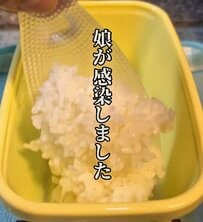 シングル父が娘に作る「女子高生弁当」シンプル日の丸なのにかわいくて話題！