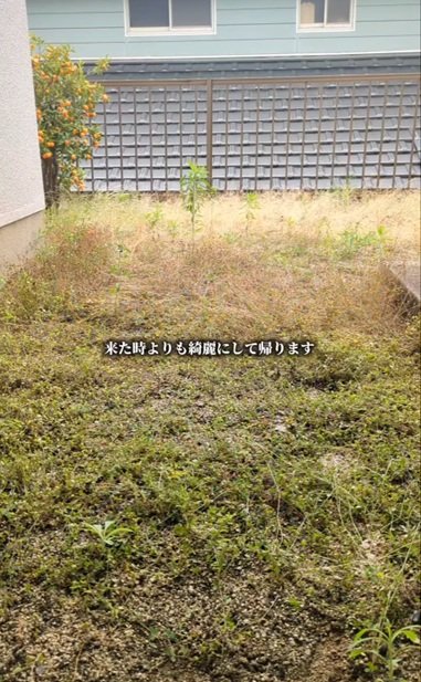 変身前の雑草が生い茂った庭