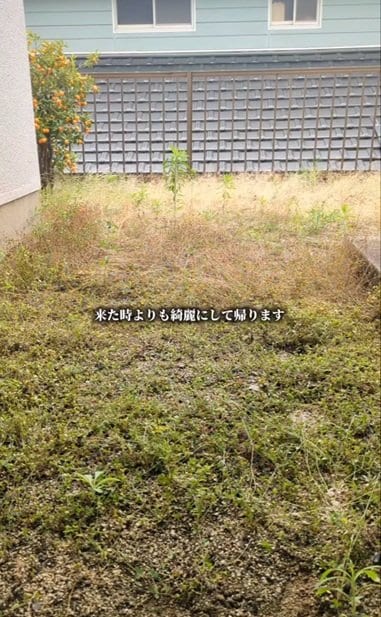 変身前の雑草が生い茂った庭