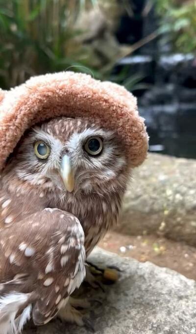 投稿動画のワンシーン