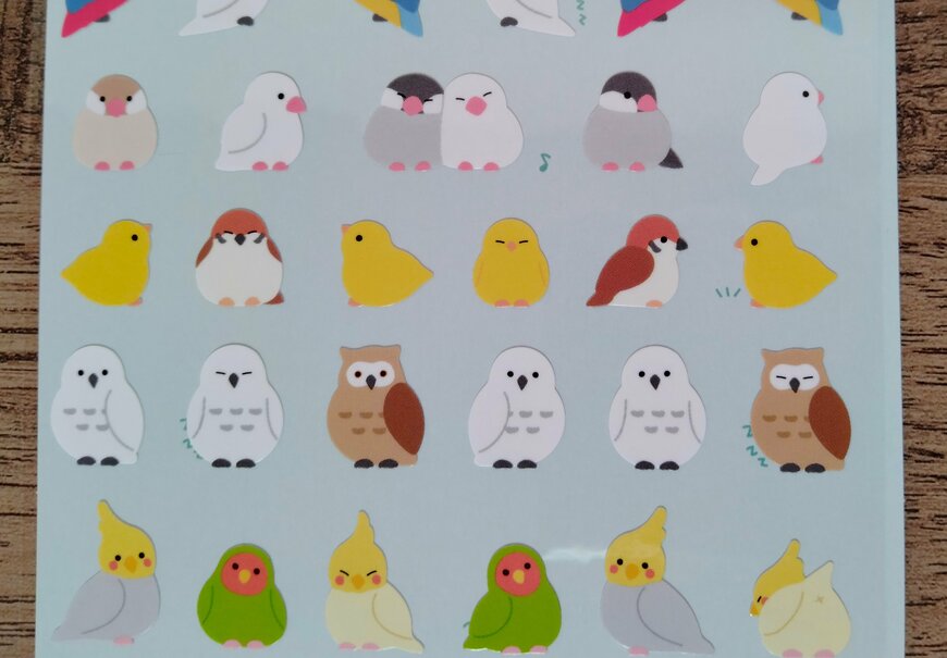 筆者撮影（セリア、デザインシール bird）