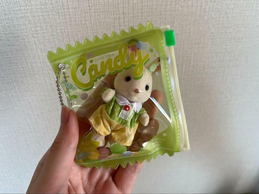 筆者撮影（セリア、お菓子パッケージキーホルダー）
