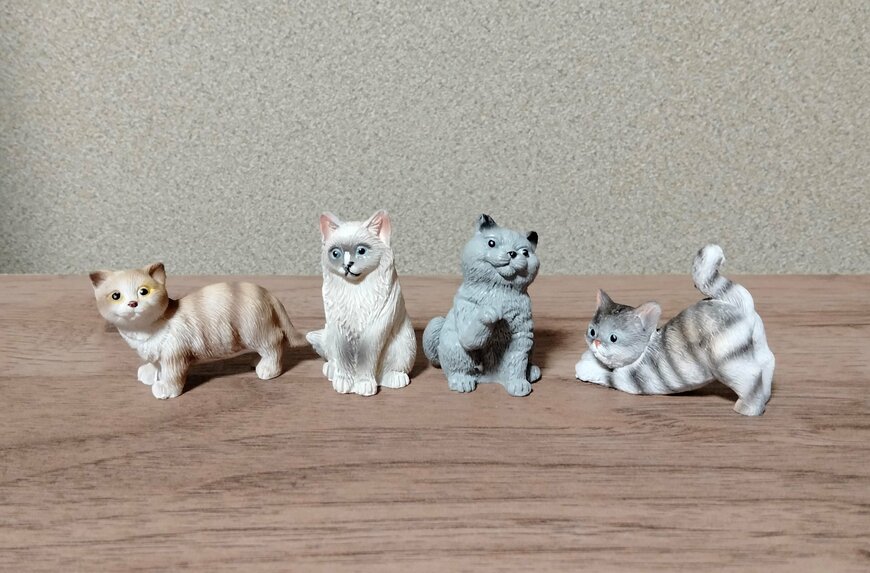 筆者撮影（ダイソー、レジン置物（左マンチカン）（中央左ラグドール）（中央右スコティッシュフォールド）（右アメリカンショートヘア））