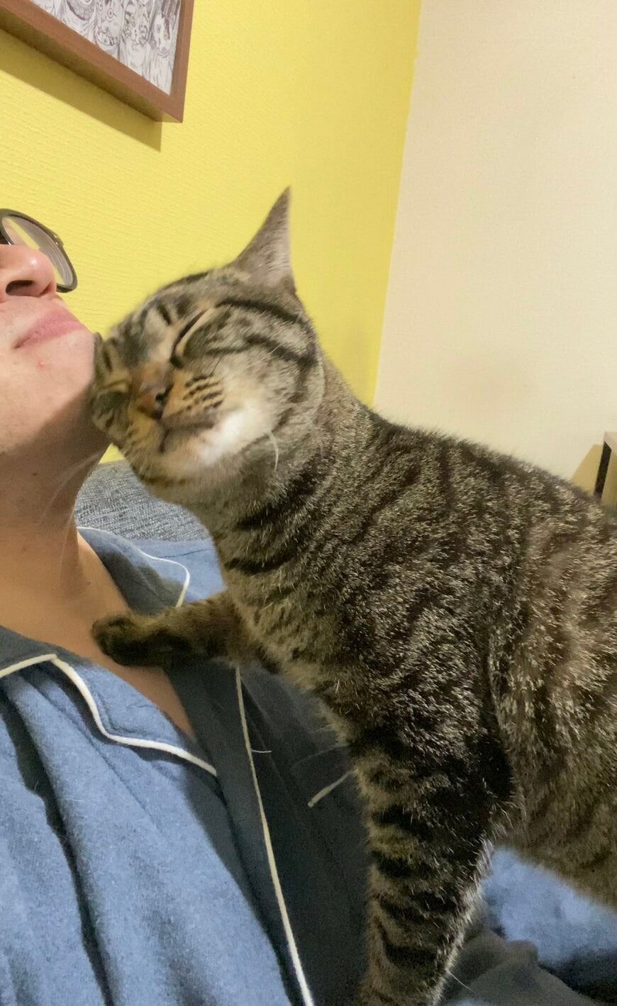 出所：@00shitemita