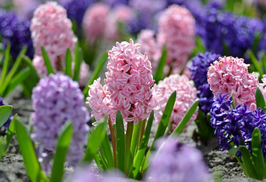 Belevantseva/istockphoto.com