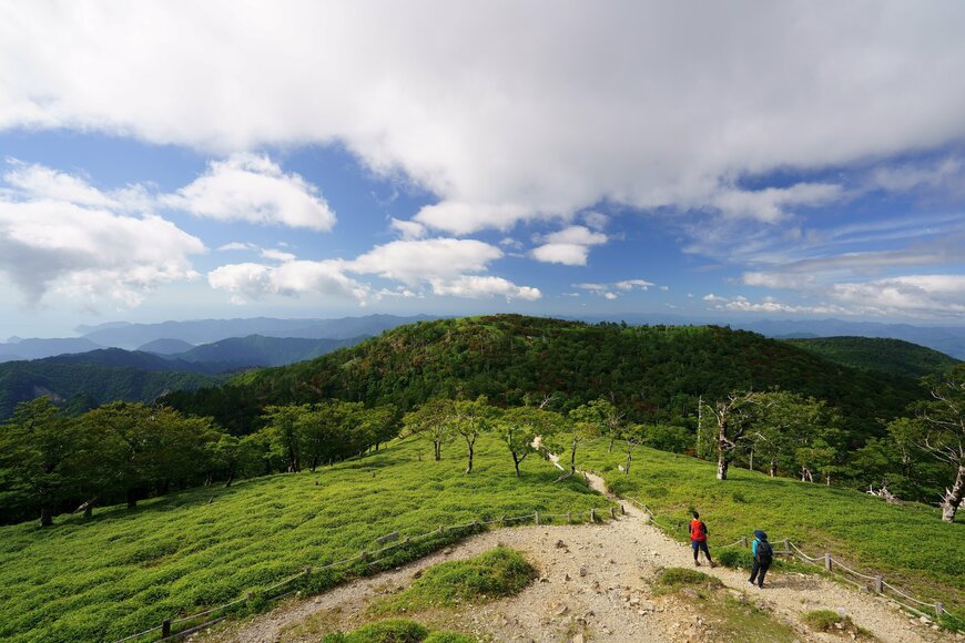 【全国旅行支援】2024年6月20日更新！独自割のキャンペーンを行う県の情報を紹介 