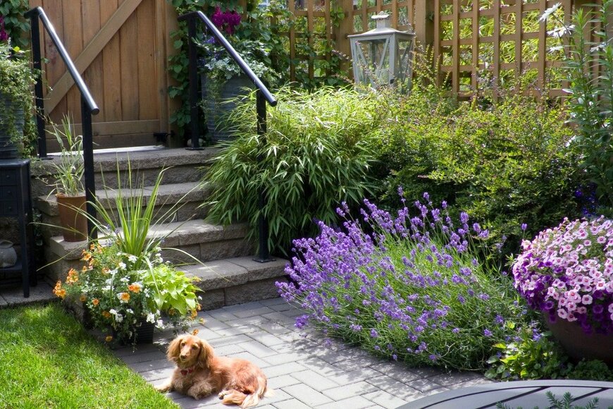 HannamariaH/istockphoto.com