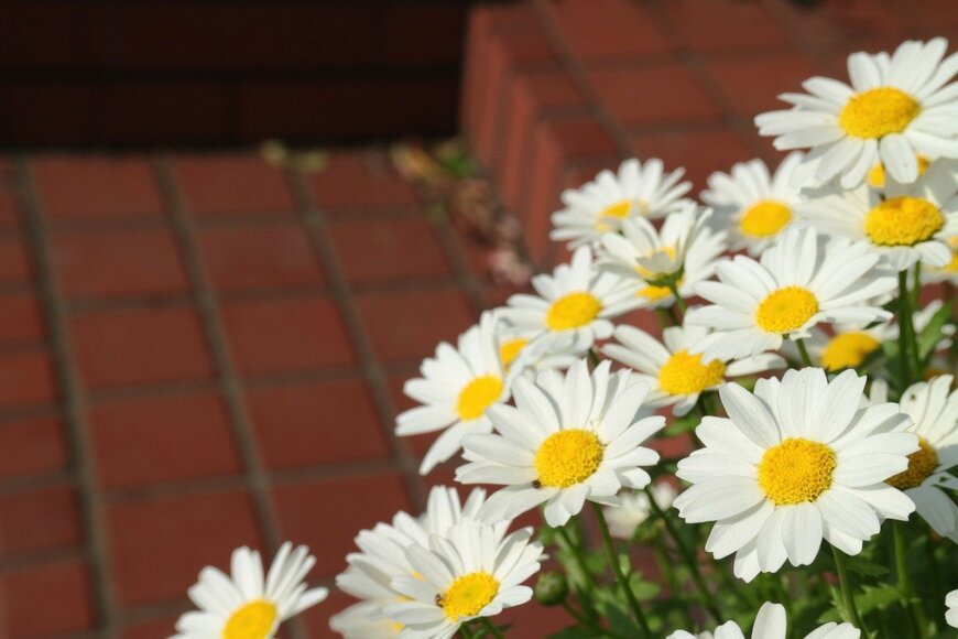 NaokiKim/istockphoto.com