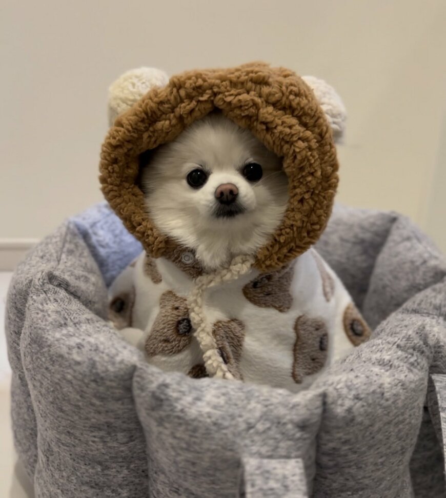 出所：@boku_ponchan