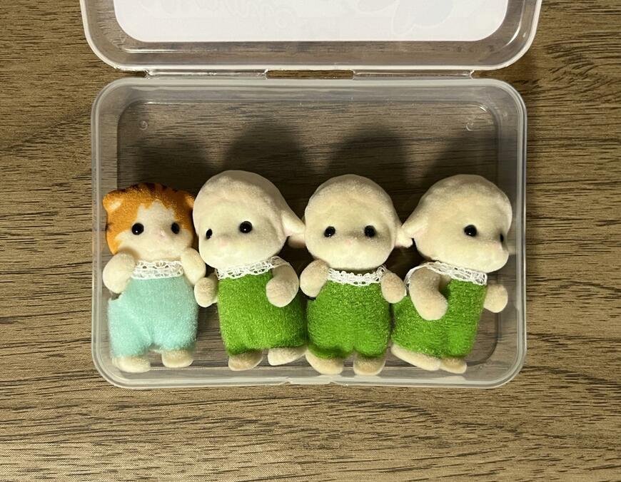 筆者撮影（セリア、プラ小物ケース / ミッキー＆ミニー）