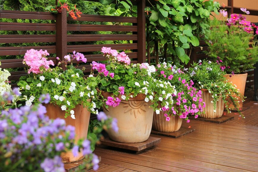 Anterovium/Shutterstock.com