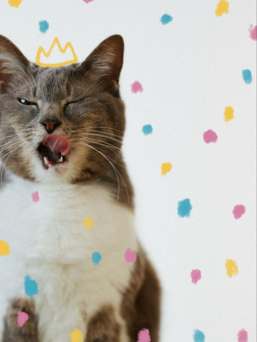 出所：@megthekitten