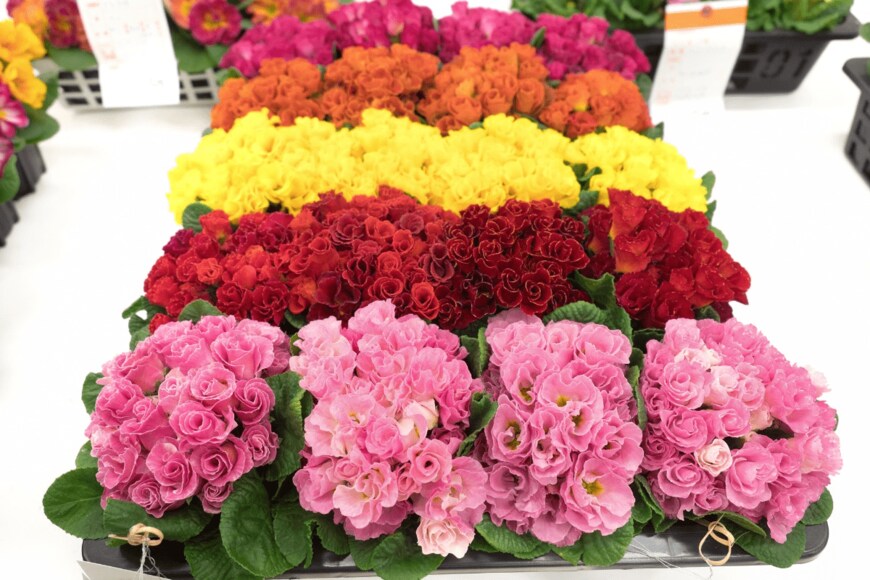 y-studio/istockphoto.com