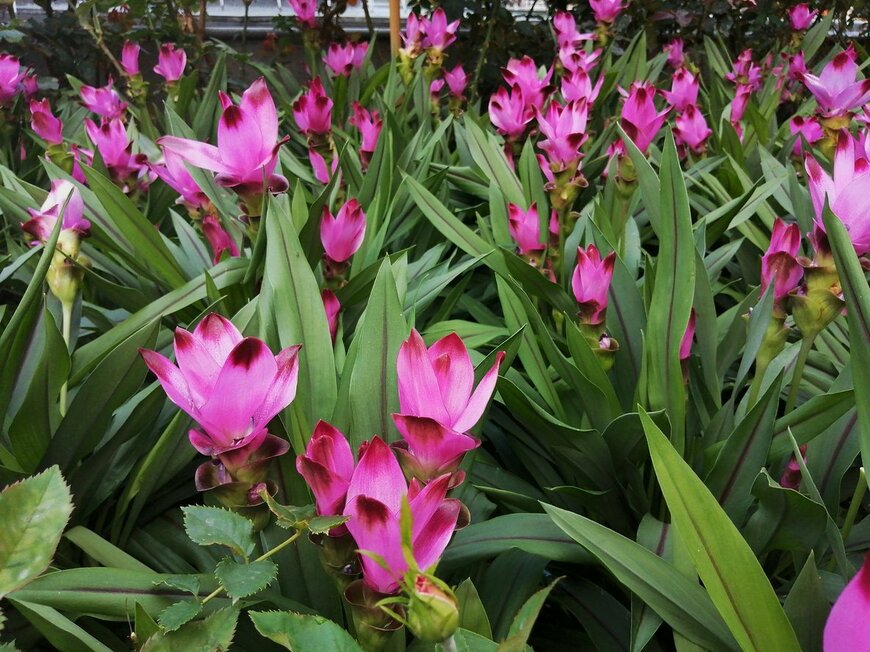 Hanna Yohanna/istockphoto.com