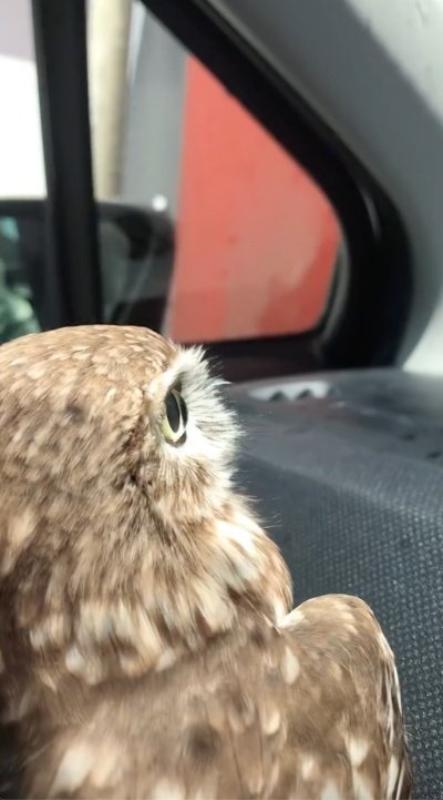 出所：@cr8673.hiro