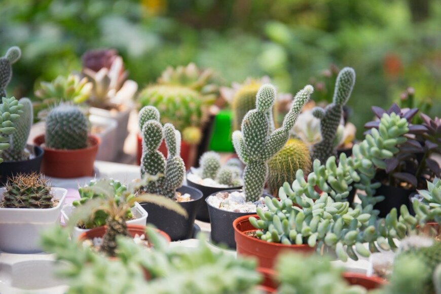 WINEXA/istockphoto.com