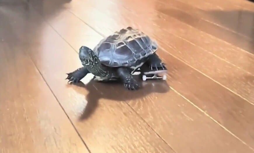 出所：@Mh0MLiErcV8E97C