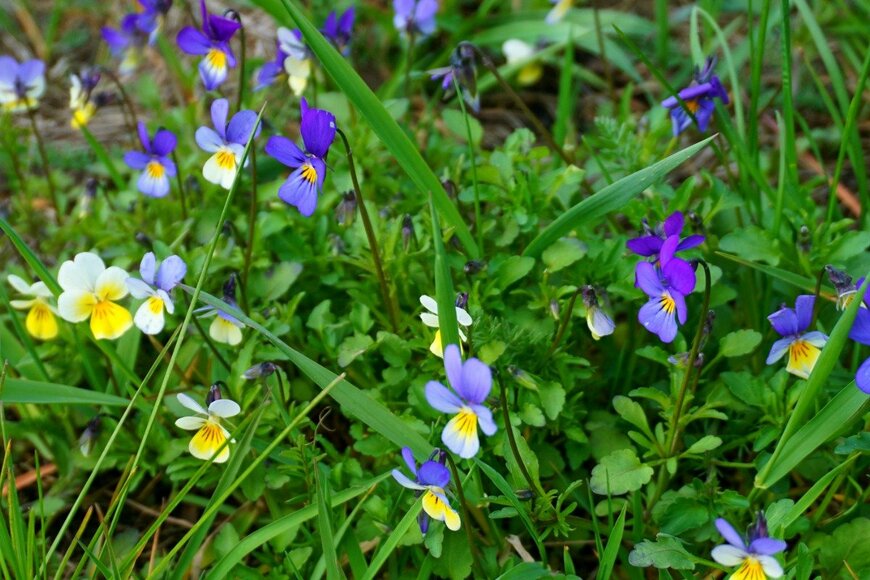 awafijolek/istockphoto.com