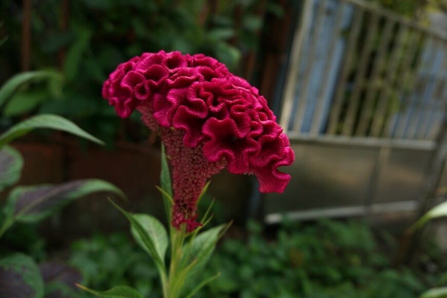 Dwi Putrare/shutterstock.com