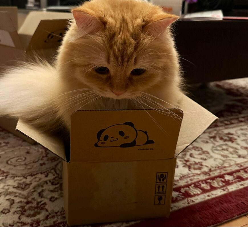 出所：@NEKOLAND13