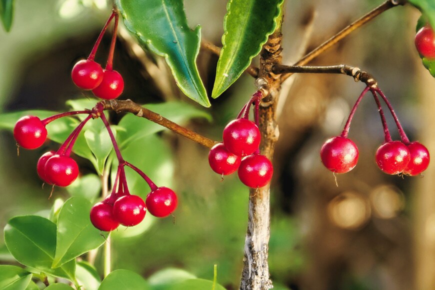 High Mountain/shutterstock.com