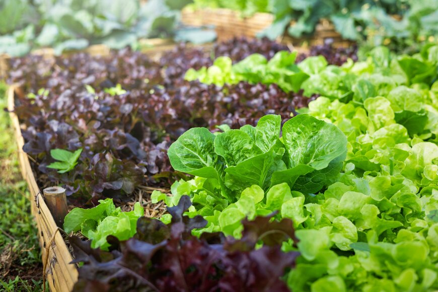 lovelyday12/shutterstock.com