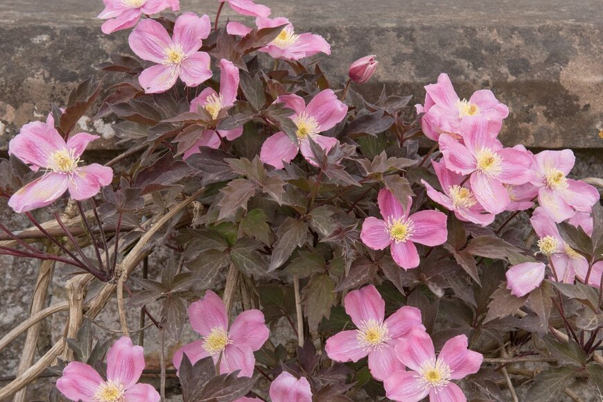 Peter Turner Photography/Shutterstock.com