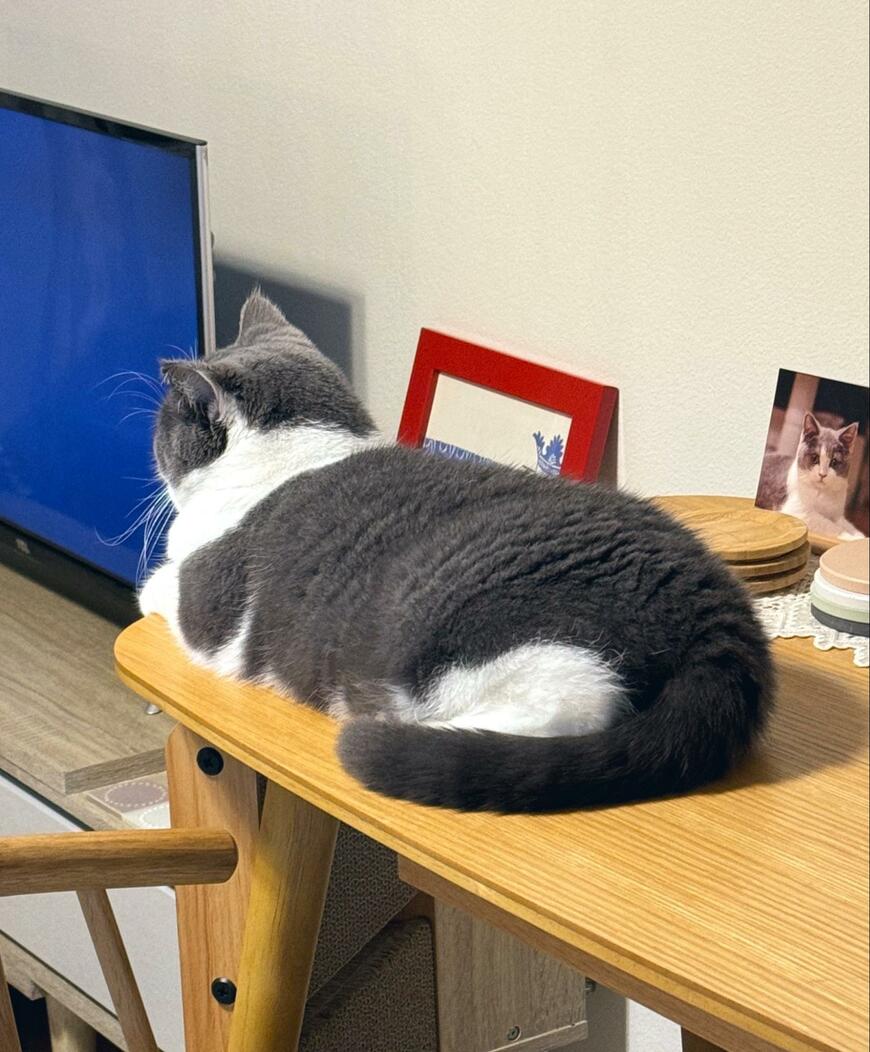 出所：@omochiomoching