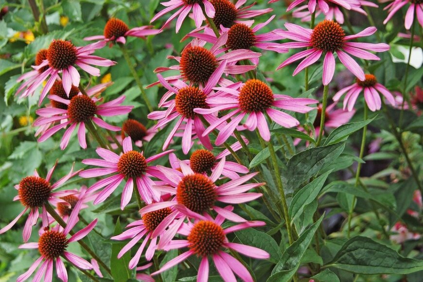 unkas_photo/istockphoto.com