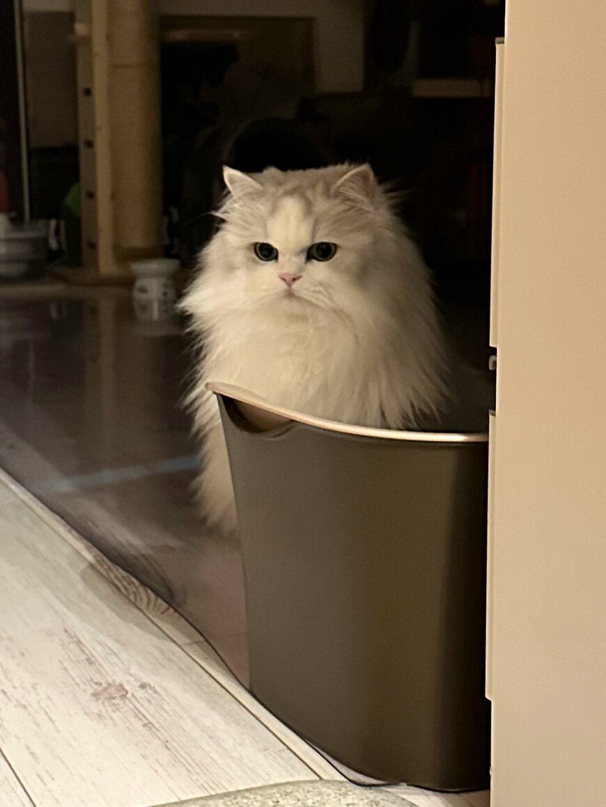 出所：@NEKOLAND13