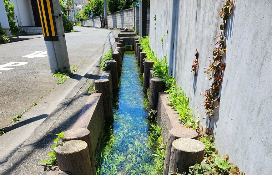 東京都日野市の住宅街で思わぬ絶景！透き通った水が流れるオシャレな水路に驚きの声