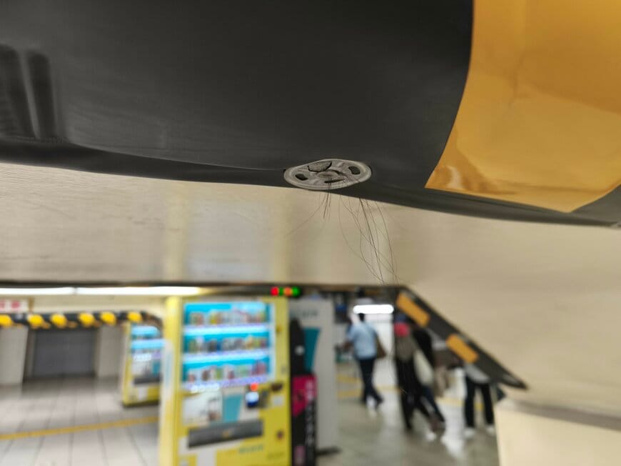 髪の毛がゴッソリ！