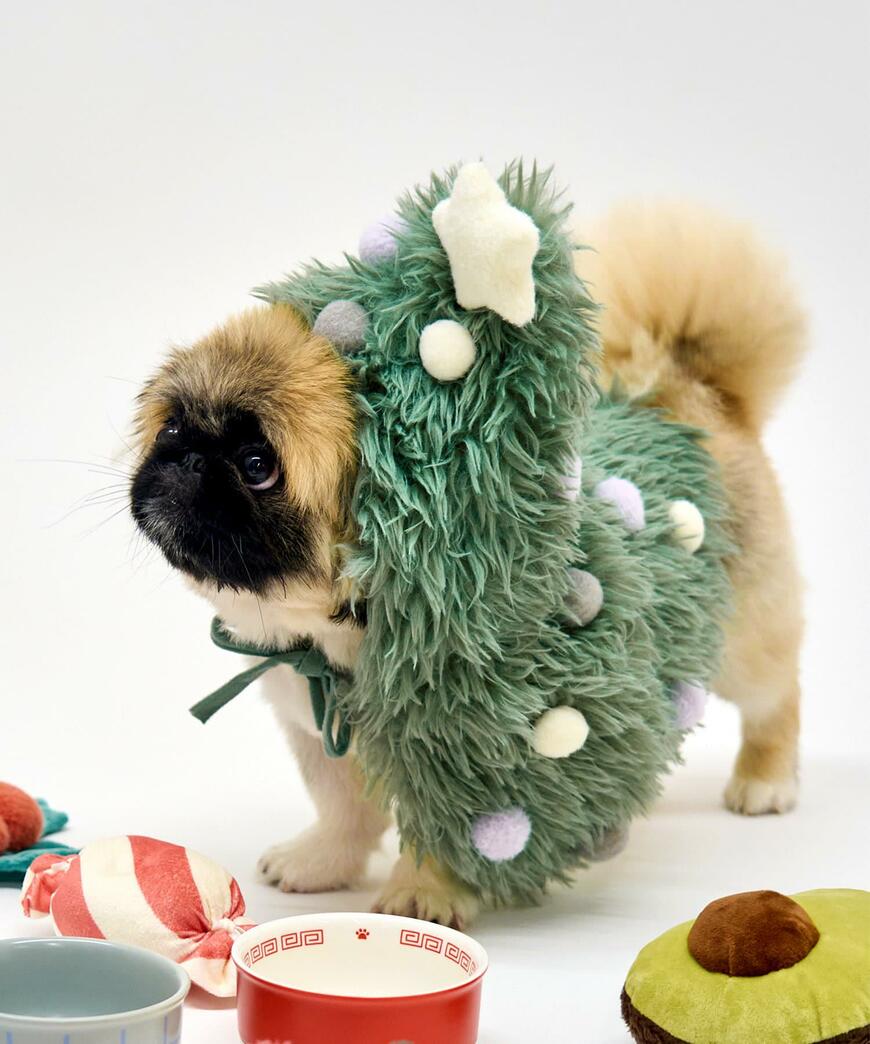 3COINS ペット用クリスマスツリーコス