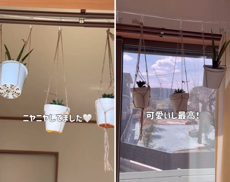 投稿の画像