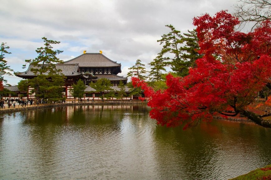 奈良公園の紅葉