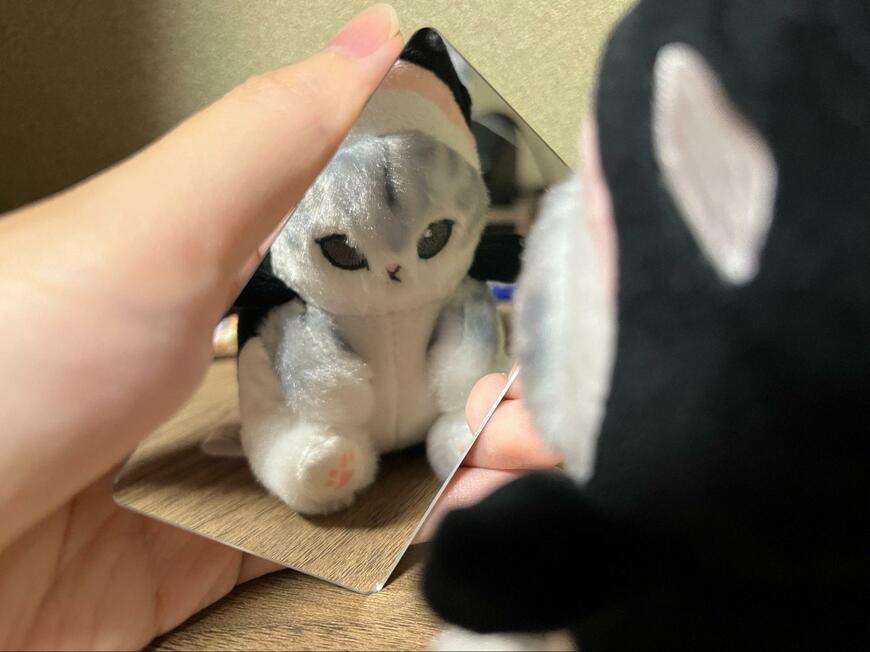 セリア、mofusand カードミラー画像