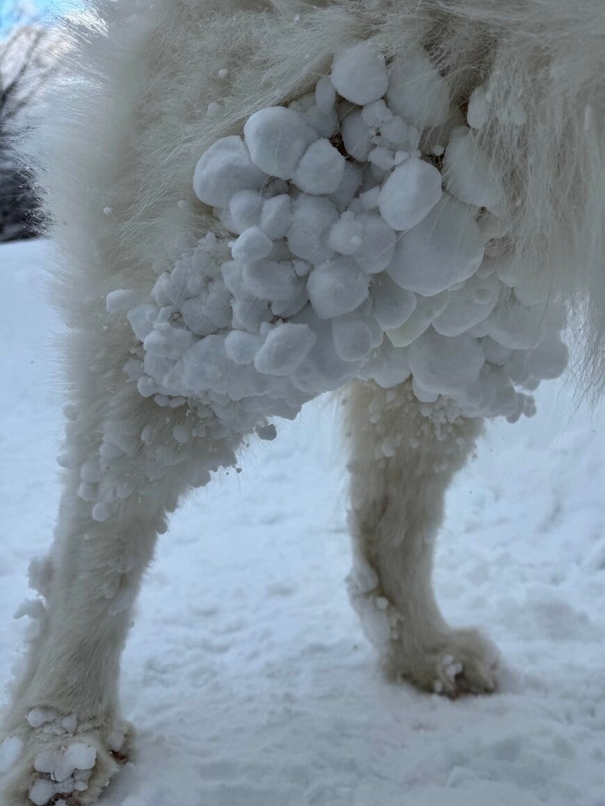たくさんの雪玉