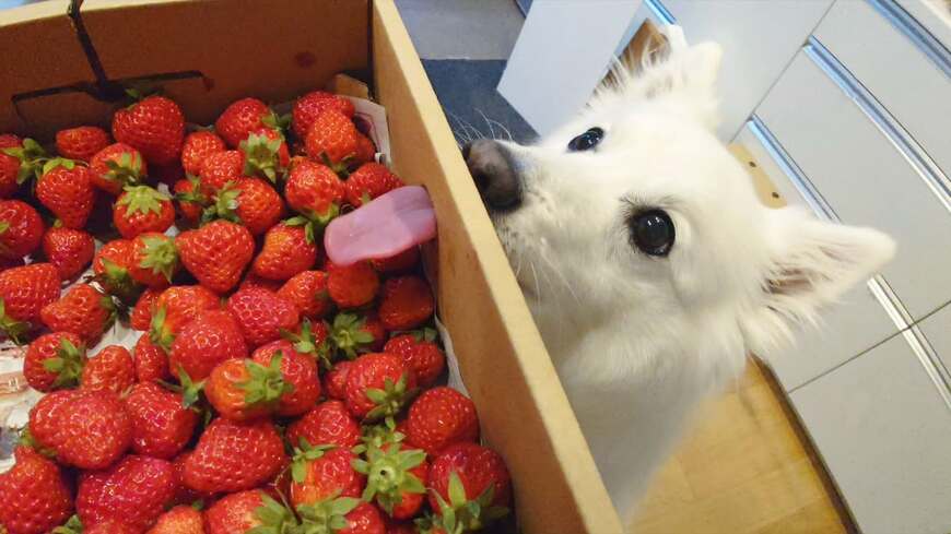投稿の画像