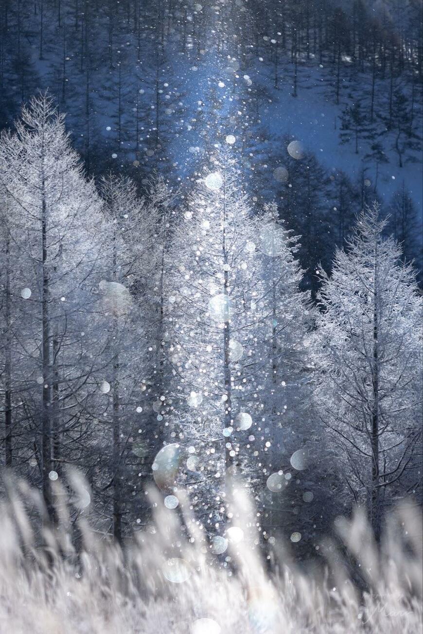 長野県で撮影されたダイヤモンドダスト