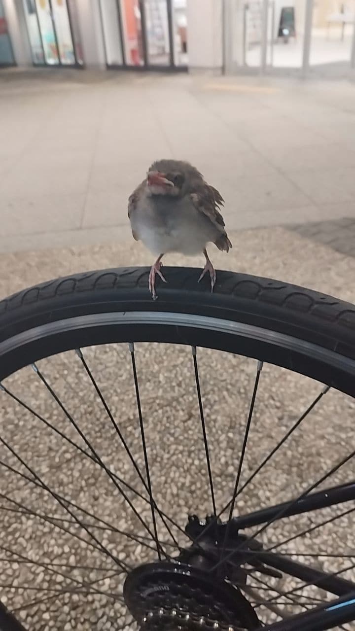 小さくてかわいらしいです