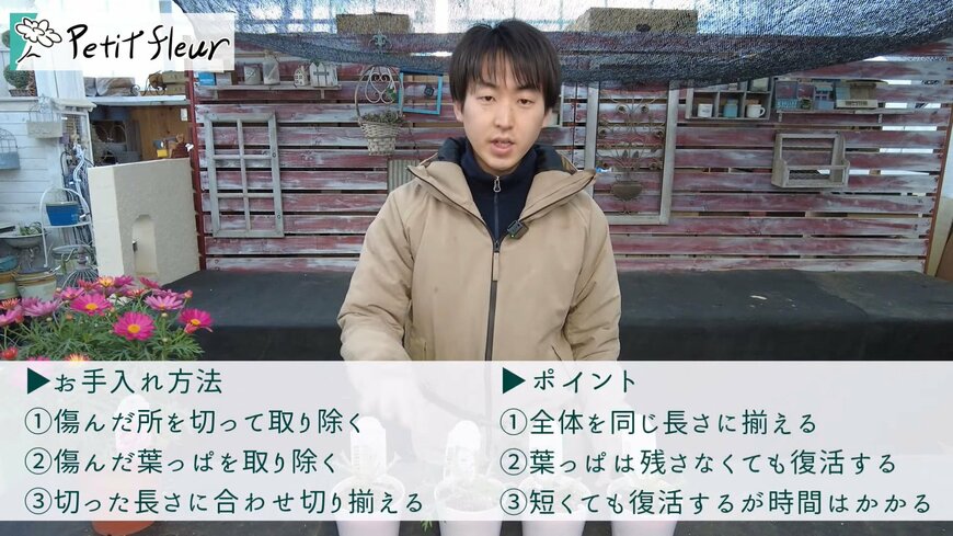 プチ・フルール(@petit_fleur)さん投稿動画のキャプチャ