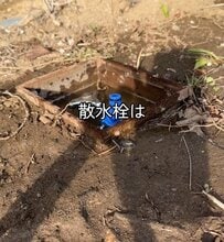 【見事なガーデンDIYに反響続々】地面に埋まった不便な〈散水栓〉→しゃがまず使える〈本格立水栓〉に大変身！「我が家もやってみようかな」