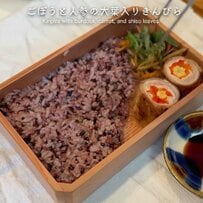 【鮭弁当】お弁当箱からはみ出そうな切身が眼福…甘い卵そぼろもたっぷり乗った「愛妻弁当」が美味しそう