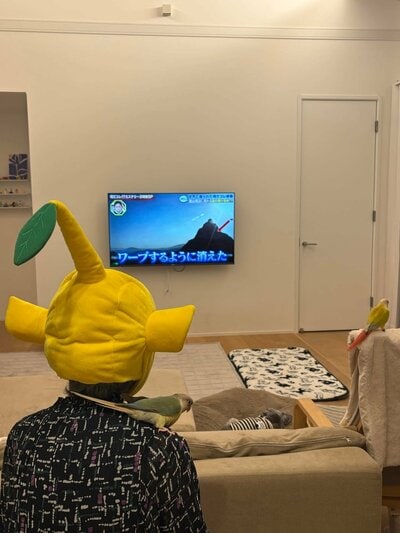 投稿の画像