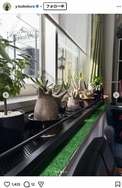 坪倉由幸のInstagram投稿