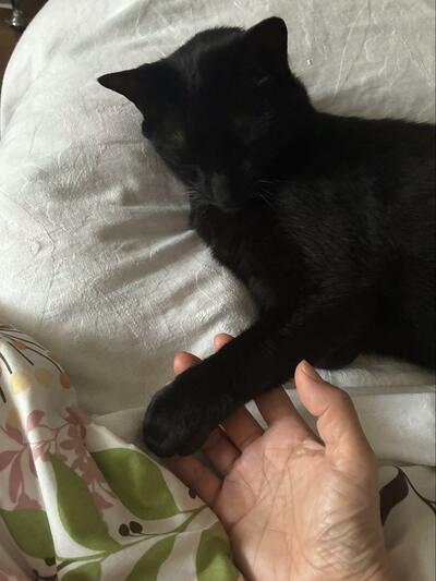 投稿の画像