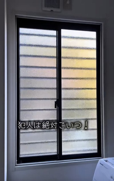 ポリカプラダンを使ったDIY