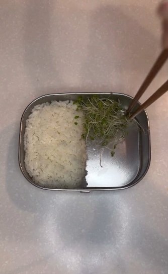 投稿動画のワンシーン