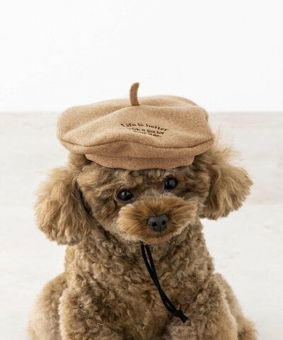 パルグループ公式ファッション通販サイト 3COINS ベレー帽商品画像